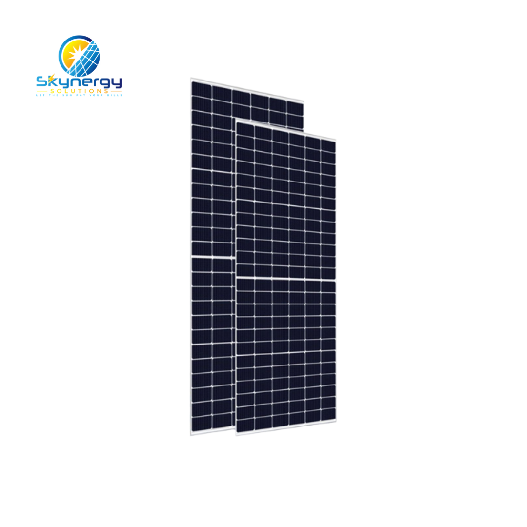Risen Solar Panel